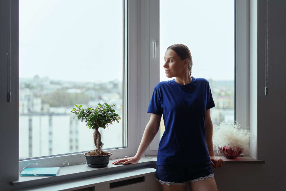 Colorado Springs Window Styles